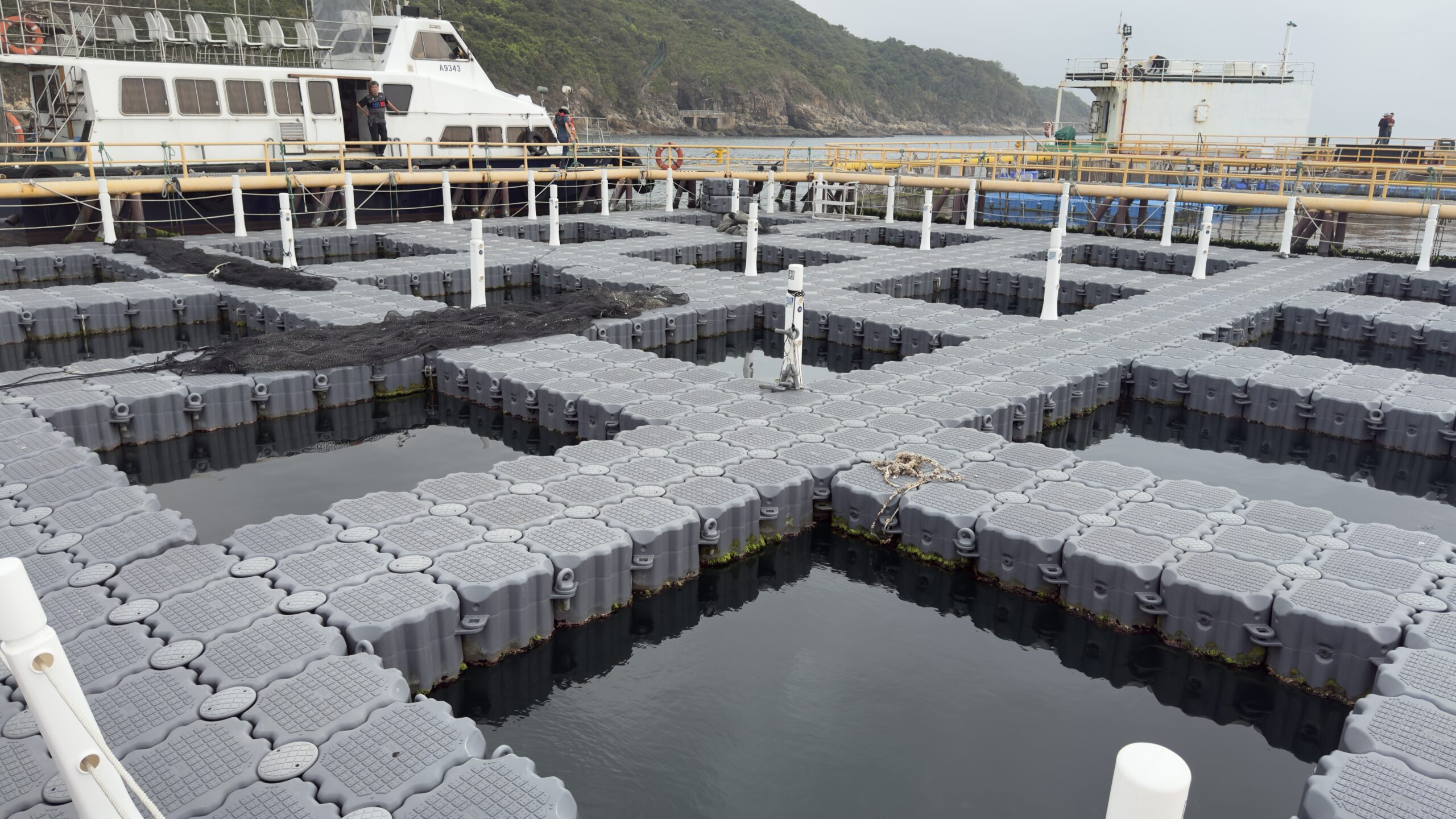 東龍洲現代化海產養殖示範場參觀
